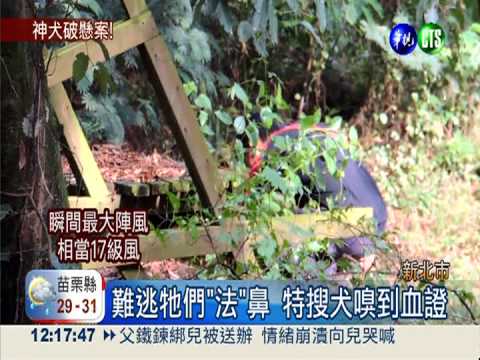 醃頭案偵結 殺人罪起訴陳二哥
