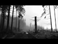 Plaga - Goblet of Bitterness 