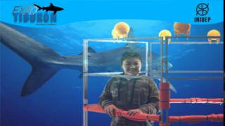 DIA 2 Expo Tiburon190