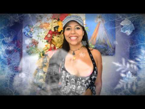 Mensaje de Navidad 2014 LILYPRO