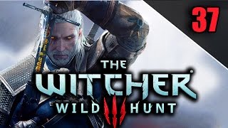 &quot;TELL THE BARON WHAT YOU&#39;VE LEARNED ABOUT ANNA (FAMILY MATTERS)&quot; The Witcher 3: Wild Hunt #37