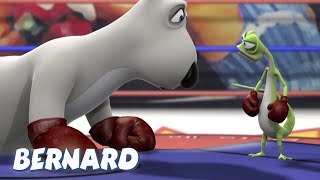 Bernard Bear | Boxing Match! AND MORE | 30 min Compilation | Cartoons for Children