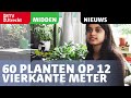 Alysha heeft 60 planten op haar kamertje van 12 vierkante meter [RTV Utrecht]