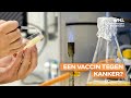 Wetenschappers zijn mogelijk nieuwe behandelmethode voor kanker op het spoor