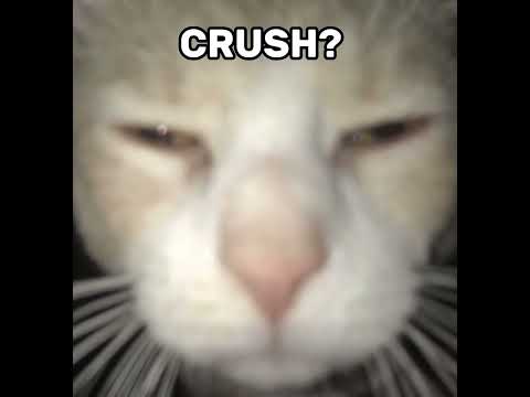 iffah(⁠◍⁠•⁠ᴗ⁠•⁠◍⁠)⁠❤