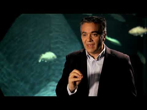 PORTUGAL DESCONHECIDO Episódio6 Bacalhau