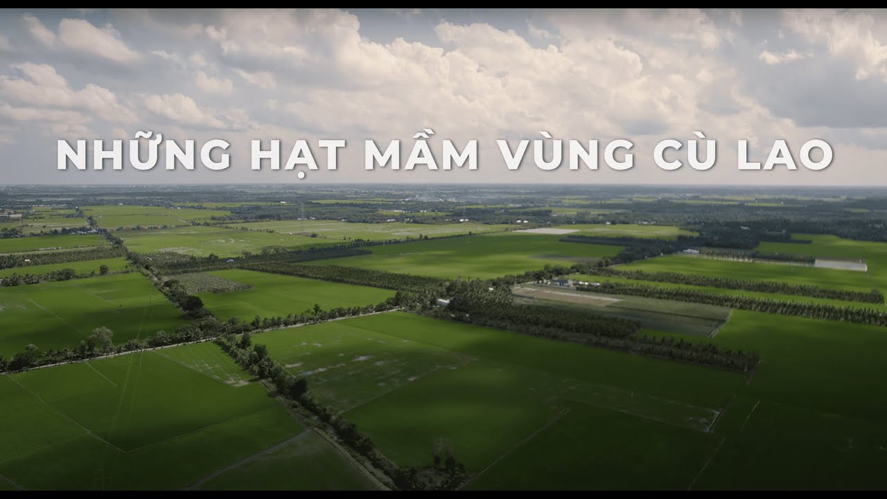 Những hạt mầm vùng cù lao