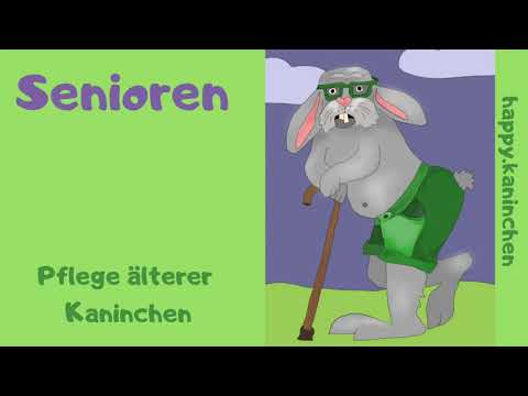 , title : 'Alte Kaninchen verstehen und pflegen'