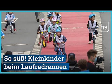 Kleinkinder geben beim Laufradrennen alles! | hessenschau