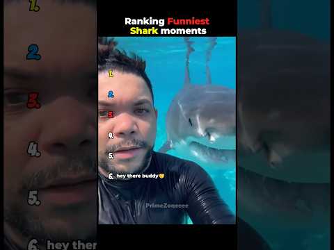 Ranking funniest Shark moments