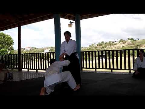 Janice Taitel: Aihamni nikkyo