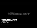 THEBLACKCATSTV INTRO