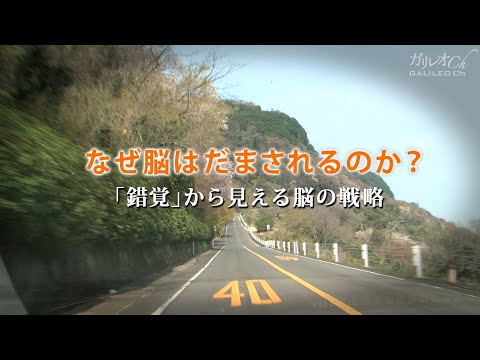 研究室から得られた「脳」は、未熟児の脳と同様の活動を示す