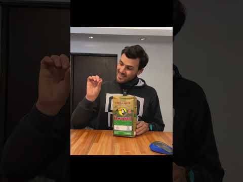 🧉 ¡MEDALLA DE PLATA! Yerba Mate Tucanguá Orgánica El Mate Orgánico Perfecto (Puesto #2) 🥈🌿