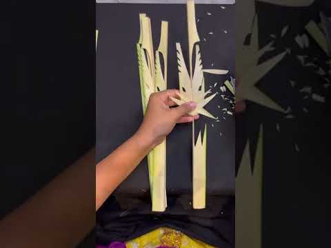 Kreasi dari daun kelapa muda