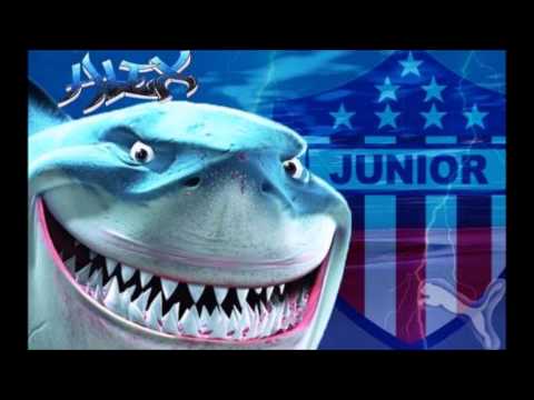 Vamos Tiburón -  Frente Rojiblanco Sur Letra