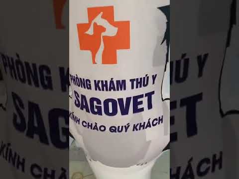 Cổng hơi rối hơi sự kiện #8