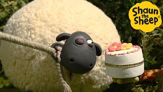 Shaun the Sheep 🐑 Cake Issues! - Cartoons for Kids 🐑 Full Episodes Compilation [1 hour]