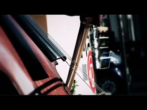 Promotional video thumbnail 2 for The Florida String Quartet