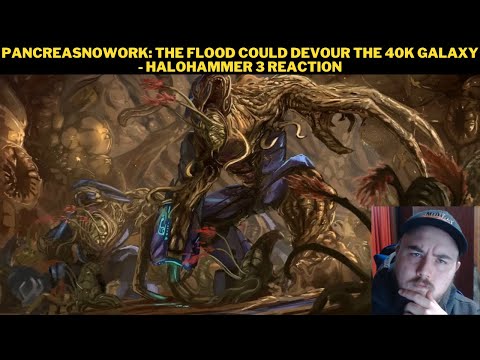 PancreasNoWork: The Flood Could Devour The 40K Galaxy - HaloHammer 3 Reaction