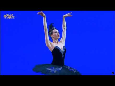 Varvara Tereshina (Russia) - Odile Variation | XIV Moscow Ballet Competition, Senior Round 3
