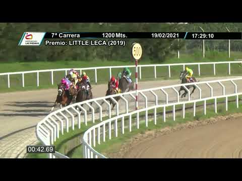 210219 c07 - REBUSILA - HIPODROMO LAS PIEDRAS