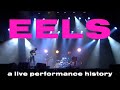 25 YEARS OF EELS LIVE IN 8 MINUTES
