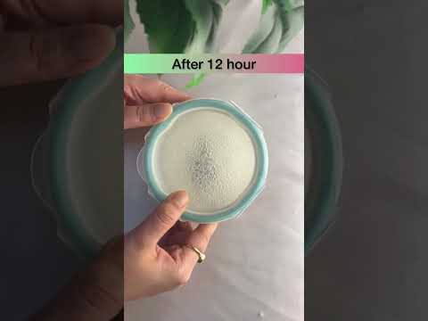 How to make yogurt starter at home. #shorts #yogurt @madhurisfoodmagic