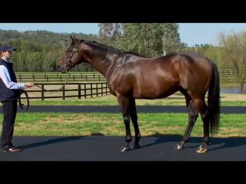 Myboycharlie parades at Vinery in 2015