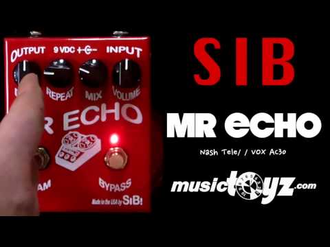 SIB Mr Echo Delay Guitar Pedal