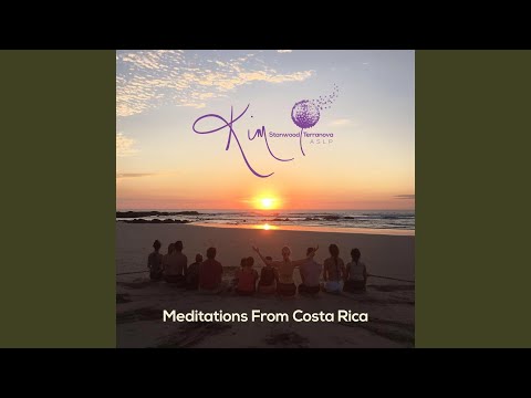download lagu mp3 mp4 Walk Of Gratitude, download lagu Walk Of Gratitude gratis, unduh video klip Walk Of Gratitude