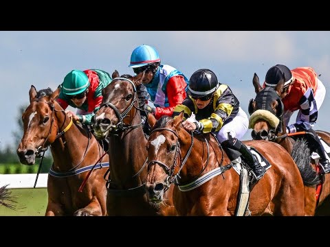 ŽIVĚ 🔴 | dostihy Most – neděle 12. 6. 2022