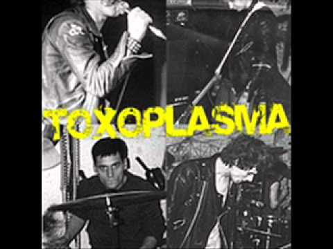 Toxoplasma - Razzia