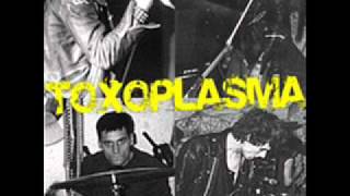 Toxoplasma - Razzia