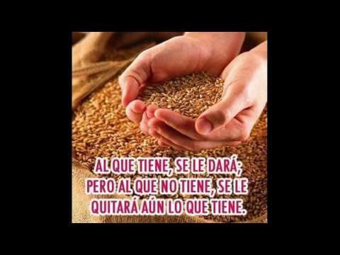 San Lucas 19, 11   28