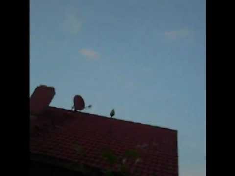 Snowgoons Alte Erinnerungen