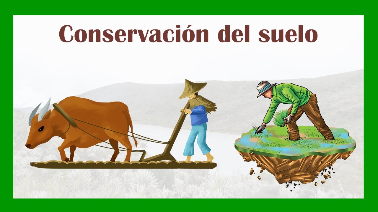 Conservación del suelo - técnicas y prácticas