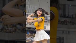【峮峮 白白】岳東華應援曲#Passion Sisters#台湾チアリーディングチーム#中華職棒#CPBL#洲際#20240922（周思齊引退賽）