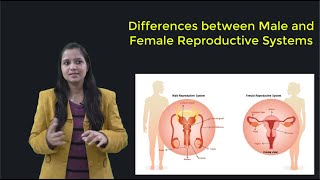 Animal Reproduction Video Tutorial & Practice | Pearson+ Channels Animal Reproduction Video Tutorial & Practice | Pearson+ Channels