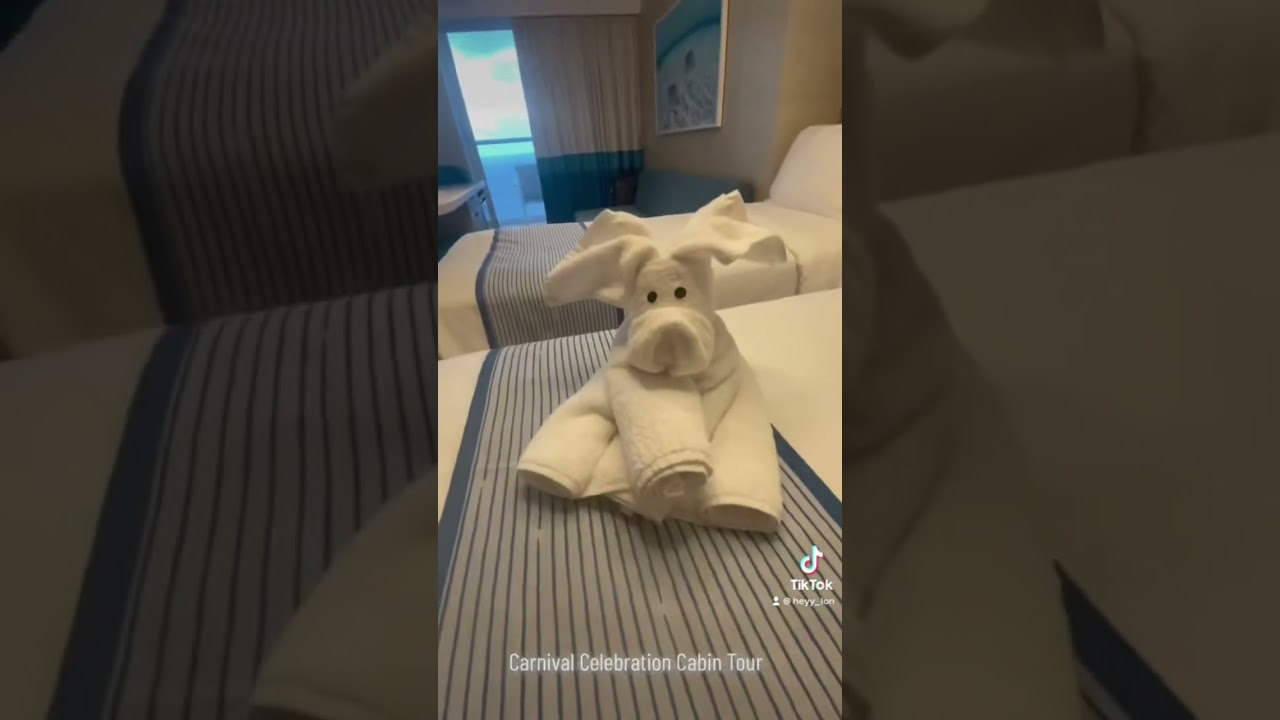 Carnival Celebration - Cabin 11231 - Video 1