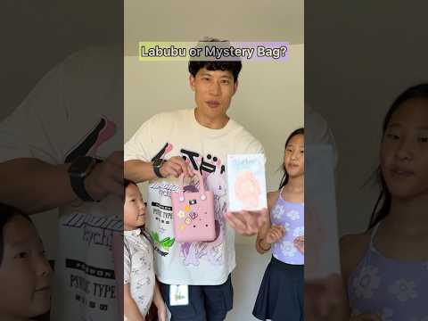 Labubu or Mystery Bag? (Part 11)