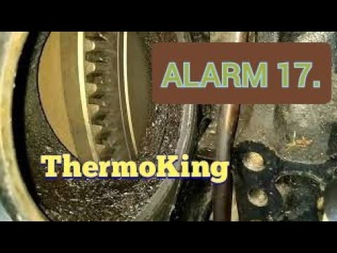 Ошибка 17 на рефрижераторе ThermoKing. Не запускается. Возможные неисправности.