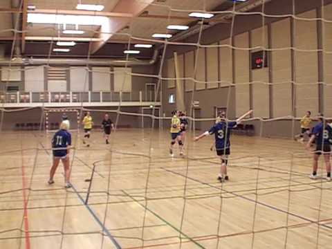 Legmeervogels A1 @ Denemarken