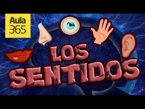 Los Cinco Sentidos | Videos Educativos para Niños