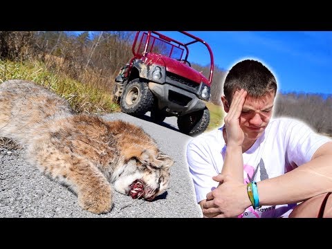 why did this happen...