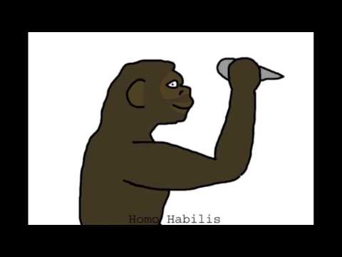 Fast-forward evolution