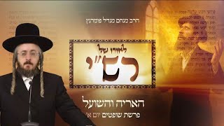 הרב מנחם מנדל פומרנץ | לאורו של רש"י - יום א' פרשת שופטים • האריה והשועל •