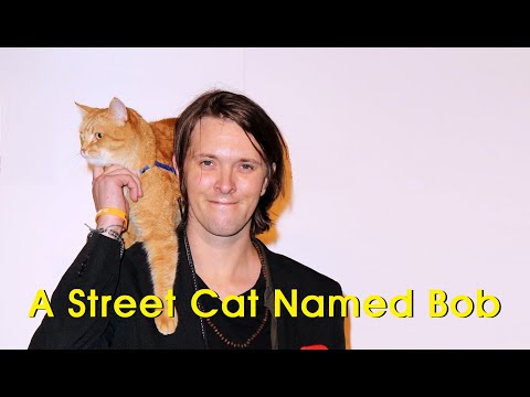 Short Story: A Street Cat Named Bob (James Bowen)