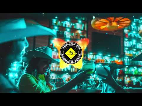 HINO AGRO - Ana Castela ,Léo e Raphael,Luan Pereira, Dj Chris no Beat e Jacques Vanier