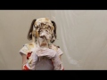 Sailor Moon Vs The Pie Monster Promo